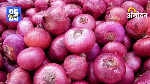 Onion Export