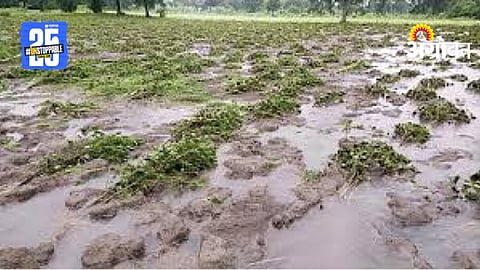 Heavy Rainfall Loss