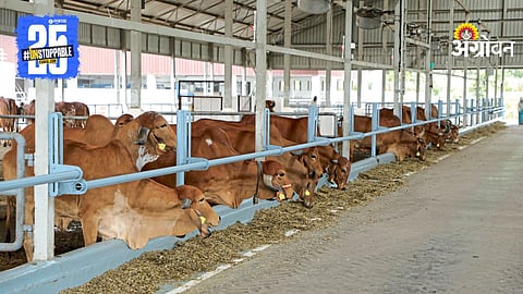 Animal Husbandry
