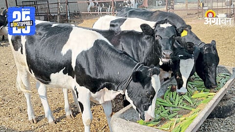 Animal Husbandry