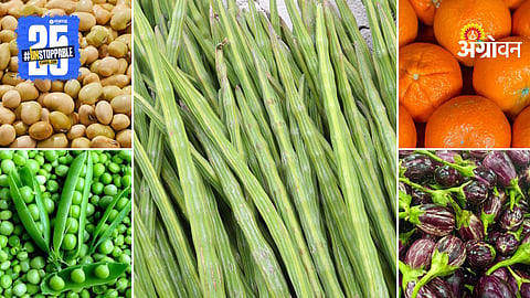 Market Products