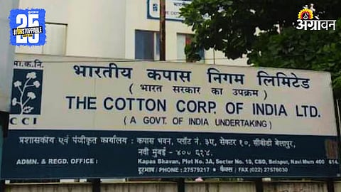 Cotton Procurement