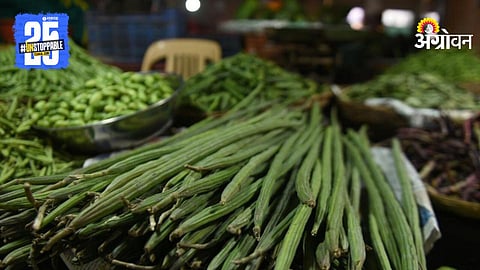 Vegetable Market