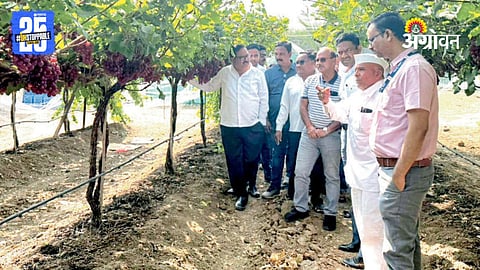 Crop Survey