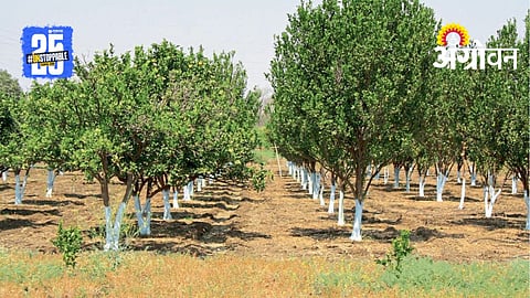 Orchard Management