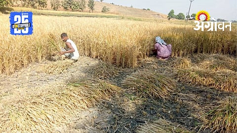 Agricultural Tenancy