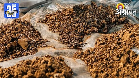 Soil Testing