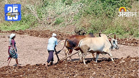 Rabi Sowing