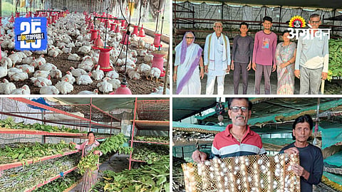 Silk Farming