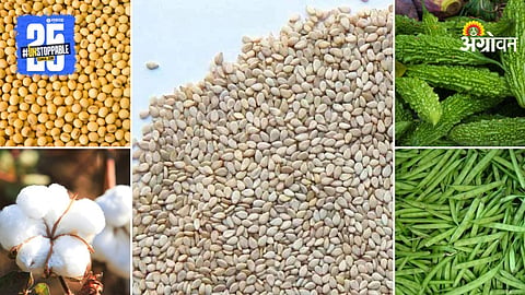 Market Products