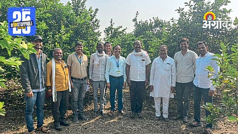 Mosambi Farming