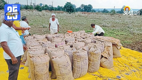 Soybean Production