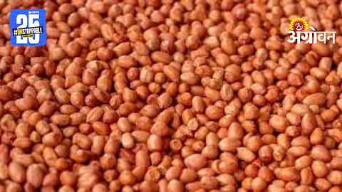 Summer Seeds Scheme