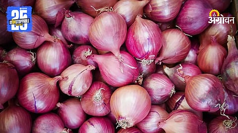 Onion