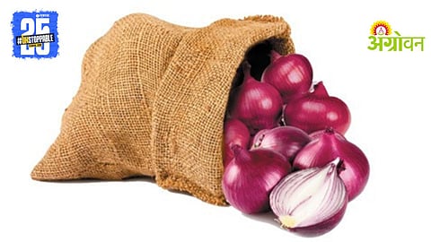 Onion Cultivation
