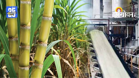 Sugarcane Crushing