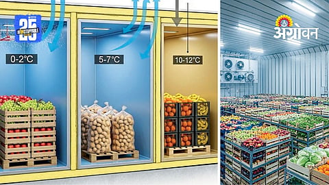 Cold Storage