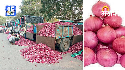 Onion MSP