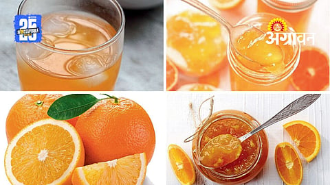 Orange Processing Products