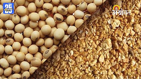 Soyapend Exports