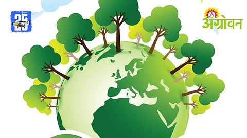 Soil Health