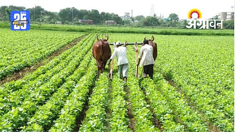 Rabi Crop Insurance