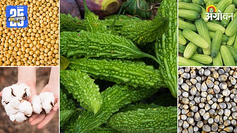 Market Products