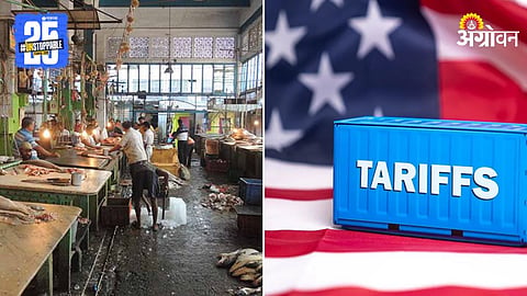 Fish Export Tarrif