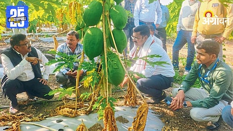 Progressive Farming