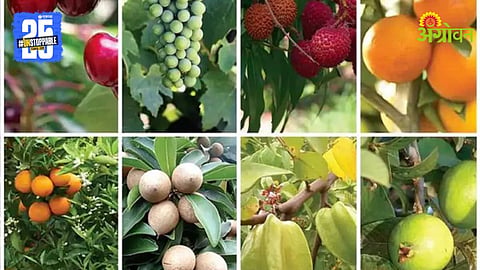 Horticulture Scheme