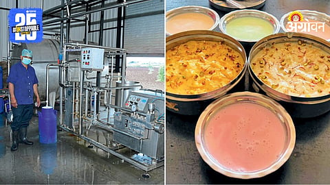 Dairy Industry