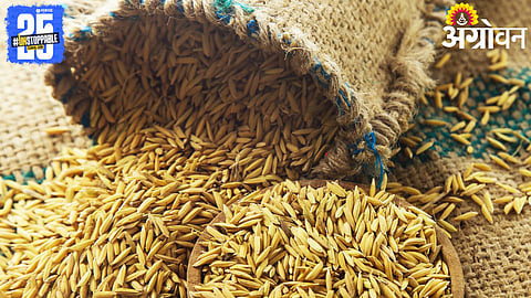 Paddy Procurement