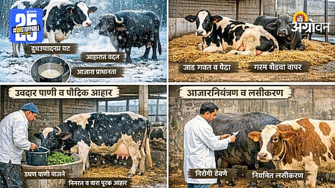 Livestock Care