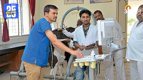 Portable ultrasound machine for animals