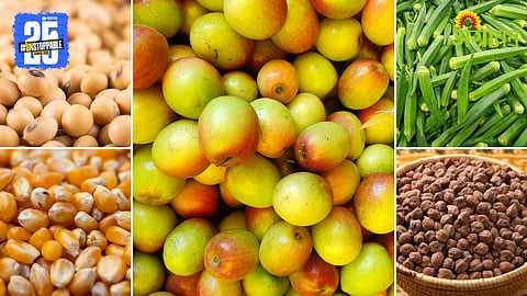 Market Products