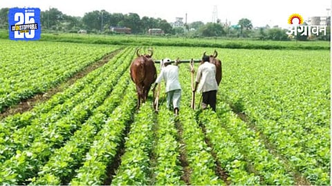 E Crop Survey