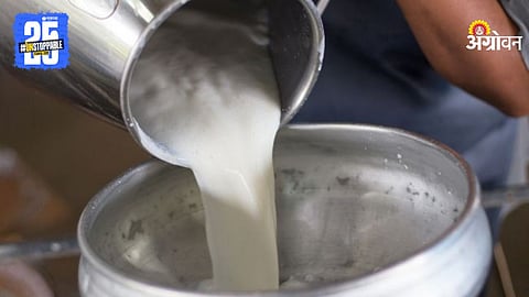 Milk