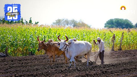Farmer Income