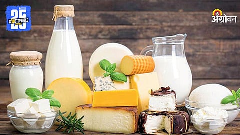 Dairy Products