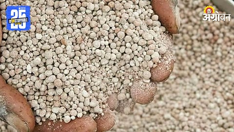 Fertilzer