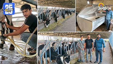 Dairy Farming