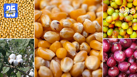 Market Products