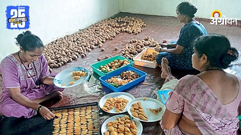 Chikaboo Brand