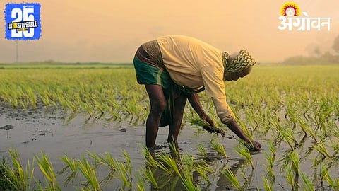 India Rice Trade