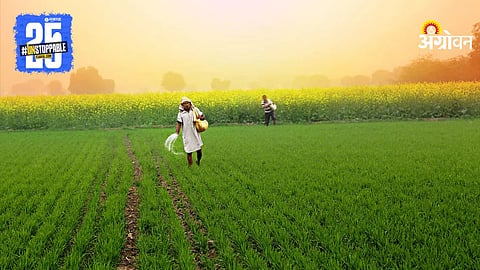 Rabi Sowing 2026