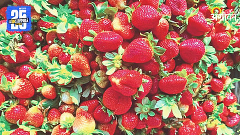 Strawberry