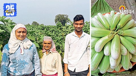 Vegetable Farming