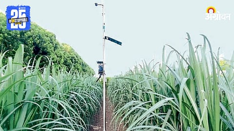 AI In Agriculture