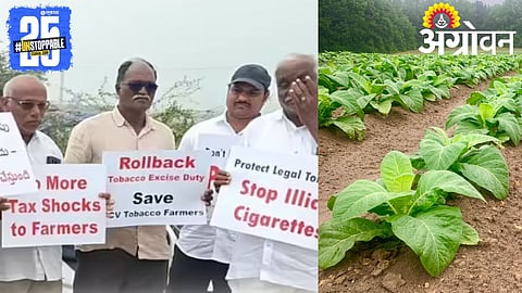 Tobacco Farmers Protest