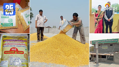 Dal Mill Business